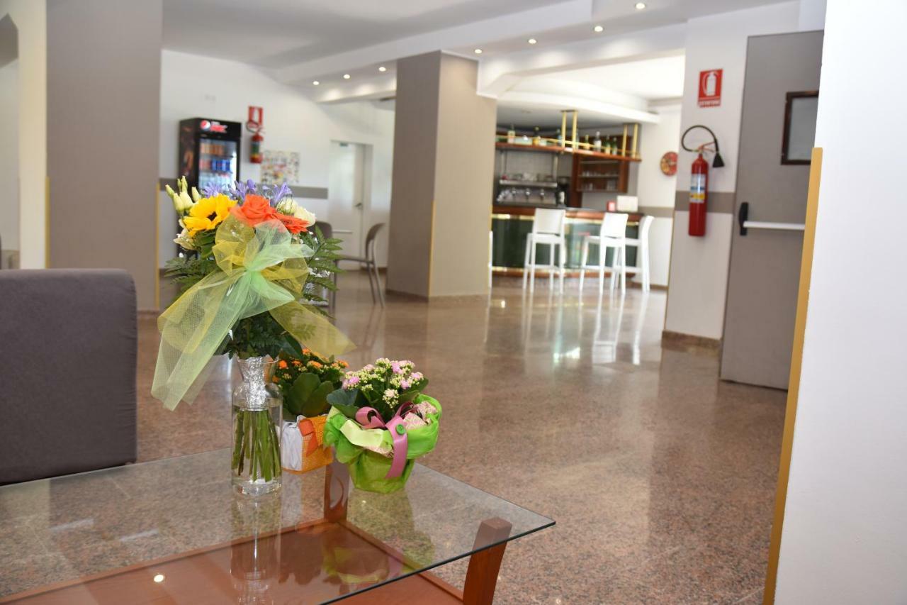 Montesilvano Marina Hotel Excelsior מראה חיצוני תמונה
